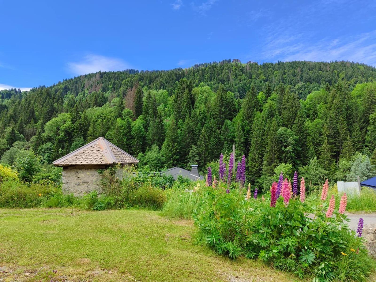 Appartement Meuble Classe 3 Etoiles De 72 M2, 2 Chambres Morzine Eksteriør billede
